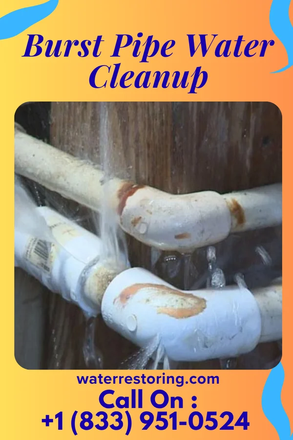 Burst Pipe Water Cleanup in Clear Spring, MD