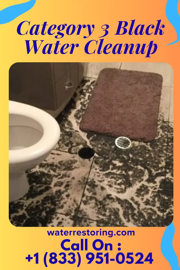 Category 3 Black Water Cleanup in Clear Spring, MD