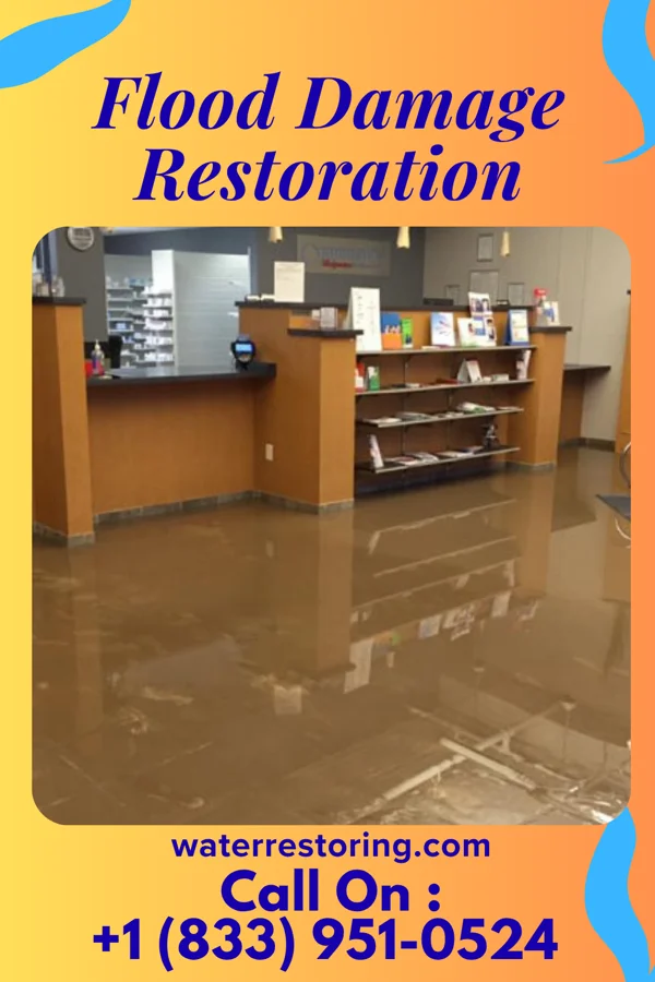 Flood Damage Restoration in Clear Spring, MD