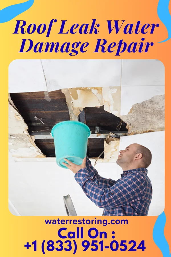 Roof Leak Water Damage Repair in Clear Spring, MD